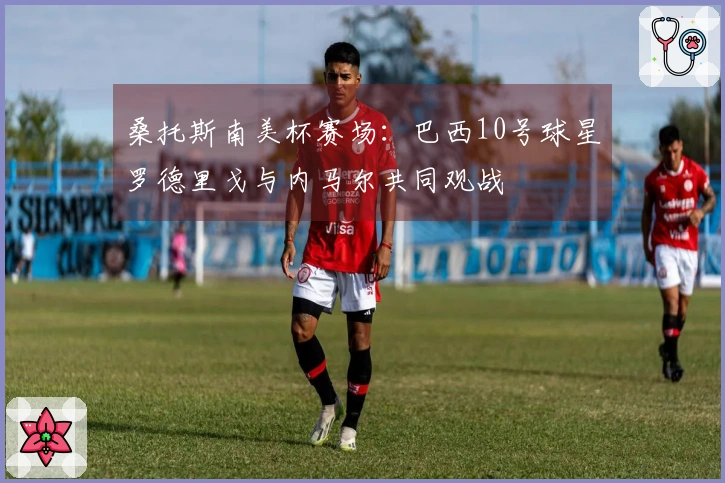 桑托斯南美杯赛场:巴西10号球星罗德里戈与内马尔共同观战